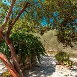 Robinson House In With Sea View, Terrace, Air Conditioning, Wifi 3439-1 בית נופש וולה לוקה
